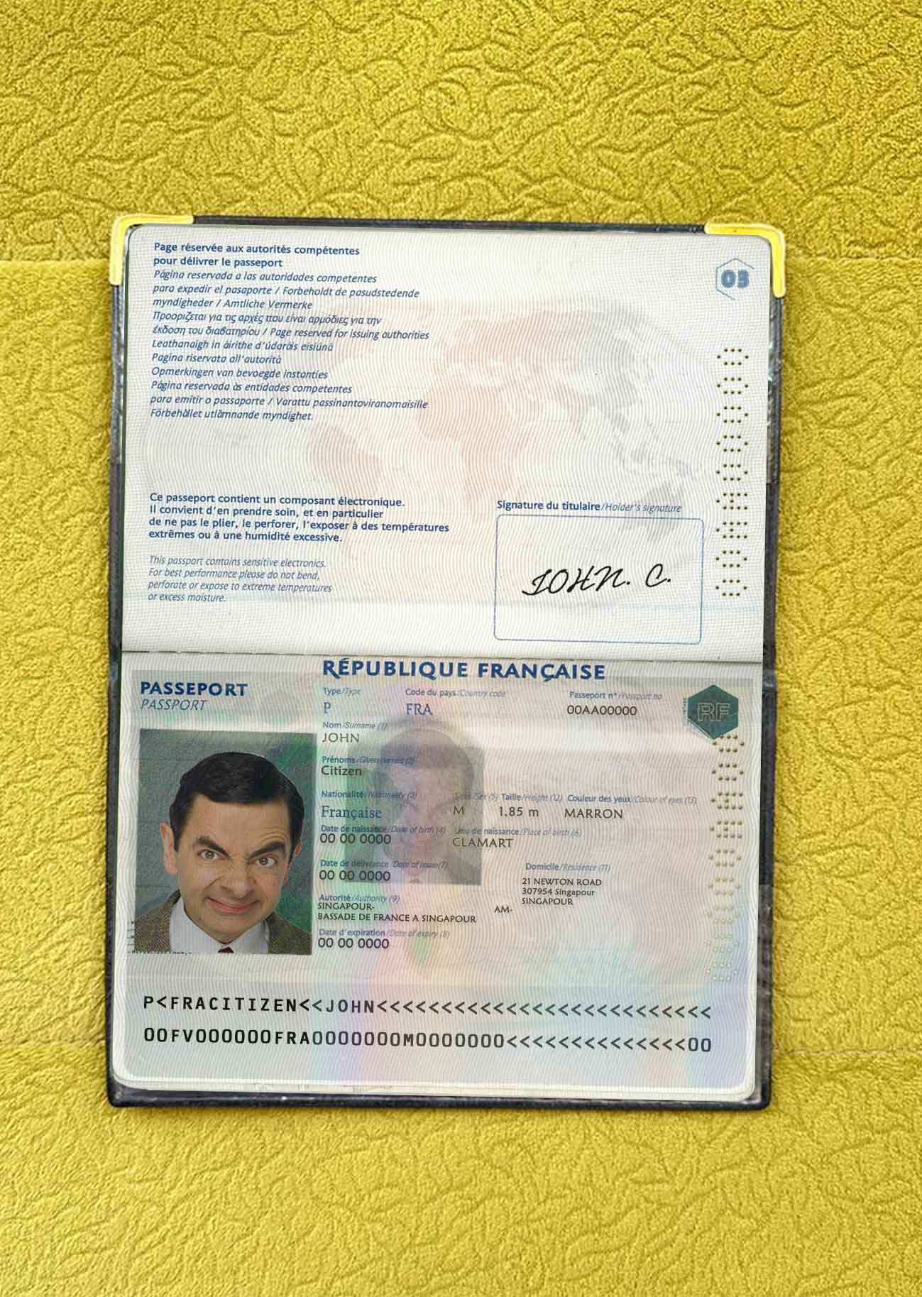 France passport photo look PSD template